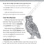 Evan-Moor Science Lessons and Investigations, Grade 1, Homeschool and Classroom Teaching Resource Workbook, Reproducible Worksheets, Observe, Analyze, ... Physical (Science Lessons & Investigations)
