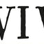 Survivors: Extraordinary Tales from the Wild and Beyond by L
