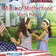 Mission: Motherhood (Homecoming Heroes, Book 1) (Larger Print Love Inspired #452)