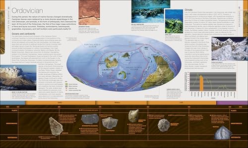 Dinosaurs and Prehistoric Life: The Definitive Visual Guide to Prehistoric Animals (DK Definitive Visual Encyclopedias)