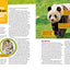 Absolute Expert: Pandas: All the Latest Facts From the Field With National Geographic Explorer Mark Brody