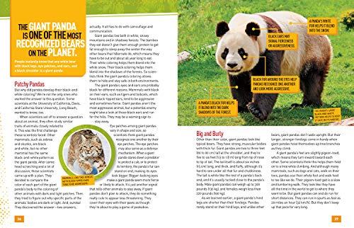 Absolute Expert: Pandas: All the Latest Facts From the Field With National Geographic Explorer Mark Brody