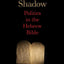 In God's Shadow: Politics in the Hebrew Bible