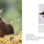 Comedy Wildlife Photography Awards Vol. 3