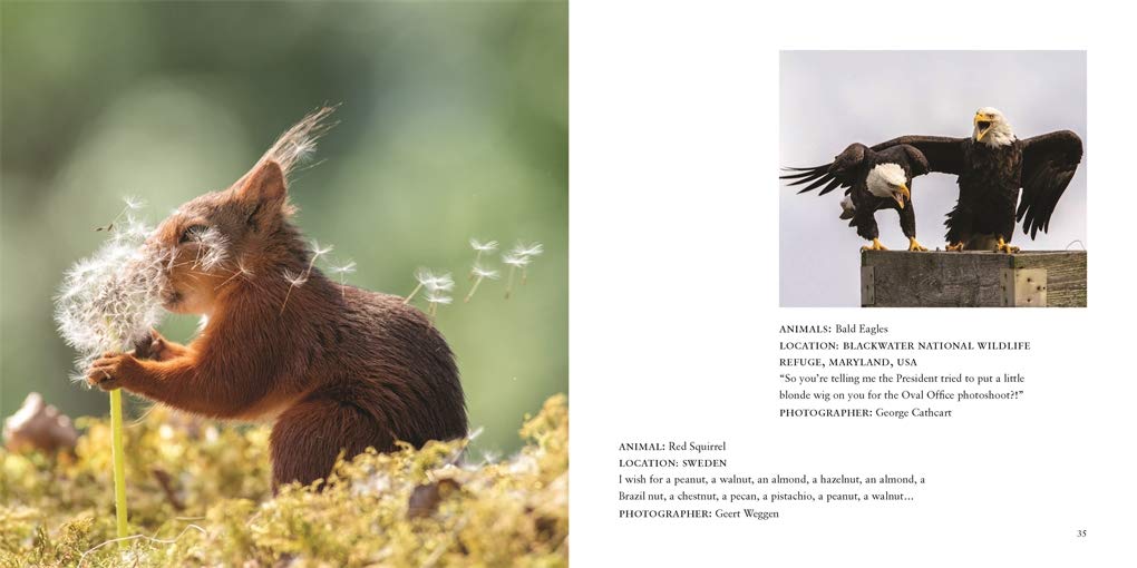 Comedy Wildlife Photography Awards Vol. 3