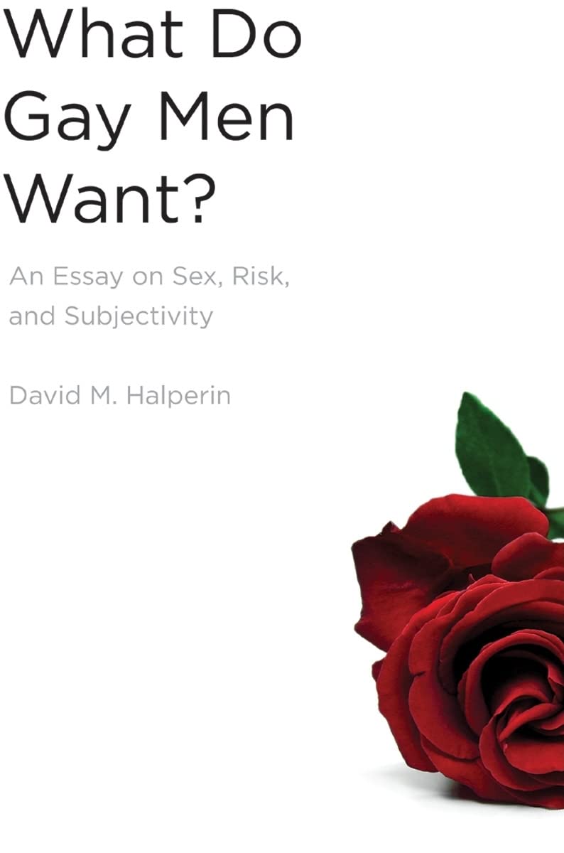 What Do Gay Men Want?: An Essay on Sex, Risk, and Subjectivi