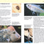 Manual of Fish Health: Everything You Need to Know About Aquarium Fish, Their Environment and Disease Prevention