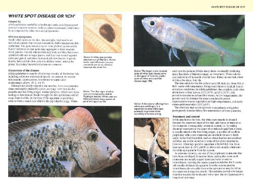 Manual of Fish Health: Everything You Need to Know About Aquarium Fish, Their Environment and Disease Prevention