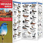 Nevada Birds: A Folding Pocket Guide to Familiar Species (Wildlife and Nature Identification)