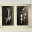 Photography Until Now (Springs of Achievement Series on the Art of Photography)
