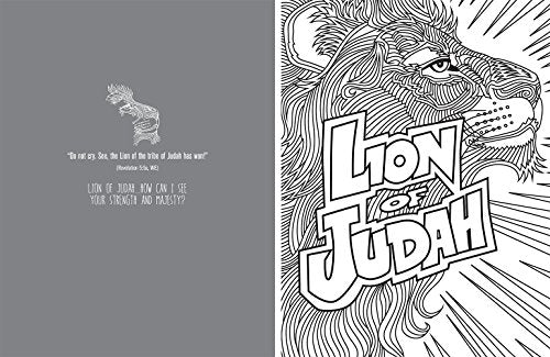 Reflecting on the Names of Jesus: Jesus-Centered Coloring Book for Adults (Jesus-Centered Devotions)