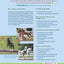 Beyond the Track: Retraining the Thoroughbred from Racecourse to Riding Horse