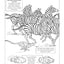 My First Book About Physics (Dover Science For Kids Coloring Books)