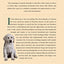 Natural Remedies For Dogs And Cats