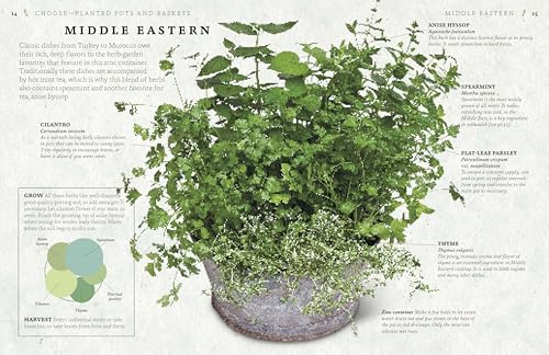 The Cook's Herb Garden: Grow, Harvest, Cook