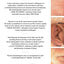 Risk Game: Self Portrait of an Entrepreneur by Greenburger,