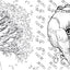 Pop Manga Coloring Book: A Surreal Journey Through a Cute, Curious, Bizarre, and Beautiful World