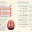 Brain Quest Workbook: Grade 5