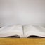 NIV Outreach Large Print Bible for Kids Paperback by Miakarts Books