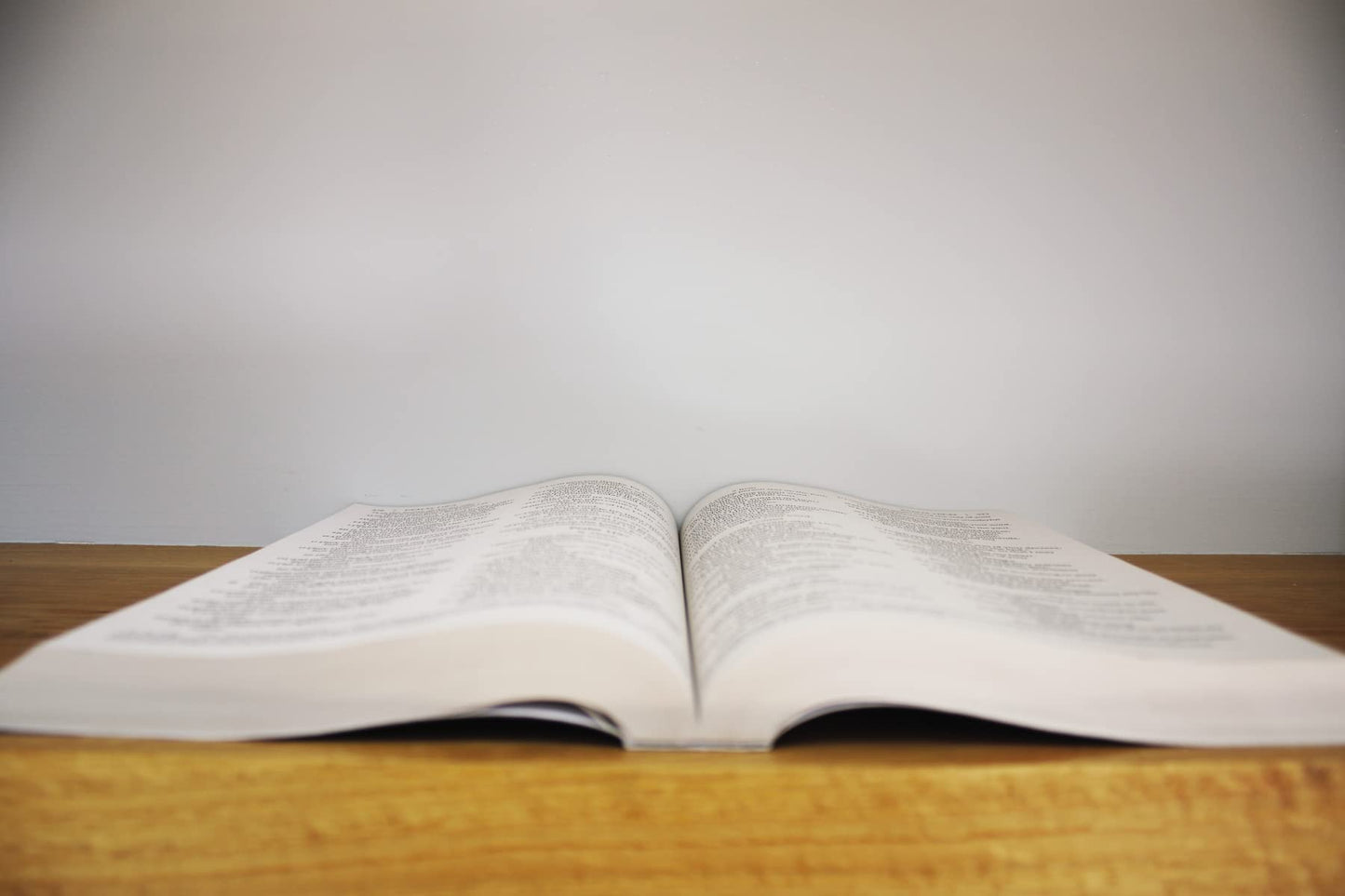 NIV Outreach Large Print Bible for Kids Paperback by Miakarts Books