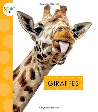 Giraffes (Spot African Animals)