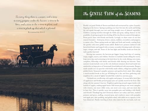 Wanda E. Brunstetter's Amish Friends 4 Seasons Cookbook: Over 290 Recipes for Eating With the Seasons