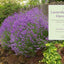 The Lavender Lover's Handbook: The 100 Most Beautiful and Fragrant Varieties for Growing, Crafting, and Cooking