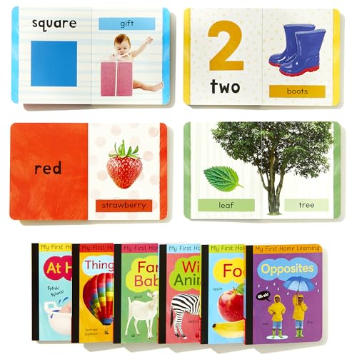 Early Learning Library: 10-Book Boxed Set (My First Home Learning)