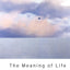 The Meaning of Life: A Reader by Klemke, E. D.