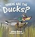Where Are the Ducks?