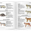 The Nature of Arizona, 2nd ed: An Introduction to Familiar Plants, Animals & Outstanding Natural Attractions