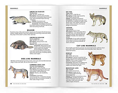 The Nature of Arizona, 2nd ed: An Introduction to Familiar Plants, Animals & Outstanding Natural Attractions