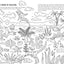 Evolution Colouring and Activity Book