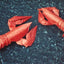 Origami Art: 15 Exquisite Folded Paper Designs from the Origamido Studio: Intermediate and Advanced Projects: Origami Book with 15 Projects