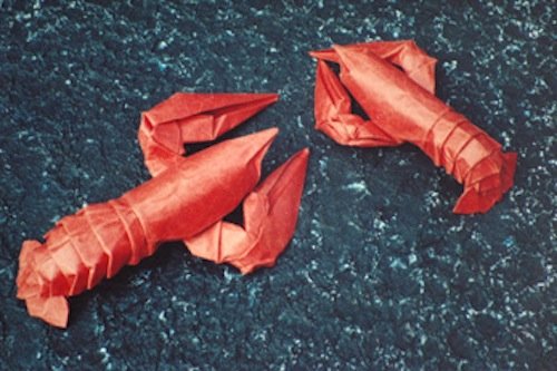 Origami Art: 15 Exquisite Folded Paper Designs from the Origamido Studio: Intermediate and Advanced Projects: Origami Book with 15 Projects
