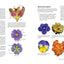 What's Wrong With My Plant? (And How Do I Fix It?): A Visual Guide to Easy Diagnosis and Organic Remedies (Whats Wrong Series)