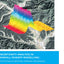 Uncertainty Analysis in Rainfall-Runoff Modelling - Application of Machine Learning Techniques: UNESCO-IHE PhD Thesis
