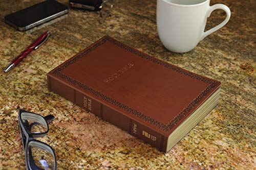 NIV, Holy Bible, Soft Touch Edition, Leathersoft, Brown, Comfort Print