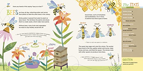 Hello, World! Kids' Guides: Exploring Insects
