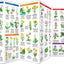 Connecticut Trees & Wildflowers: A Folding Pocket Guide to Familiar Plants (Wildlife and Nature Identification)