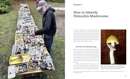 Psilocybin Mushrooms in Their Natural Habitats: A Guide to the History, Identification, and Use of Psychoactive Fungi