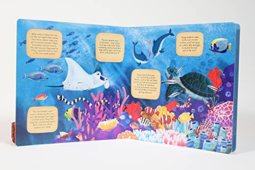 Discovering the Secret World: Coral Reef (Happy Fox Books) Board Book Teaches Kids Ages 3-6 about a Reef, Diving Deeper into the Sea with Every Page, with Educational Fun Facts