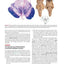 Nolte's The Human Brain: An Introduction to its Functional Anatomy