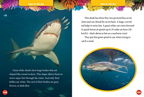 National Geographic Kids 5-Minute Shark Stories (5-Minute Stories)
