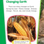The Seasons (Science Readers: Content and Literacy)