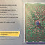 The Missing Necklace: A Timmi Tobbson Junior (6-8) Book for Kids (Solve-Them-Yourself Mysteries Book for Girls and Boys age 6-8) (cover may vary)