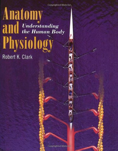 Anatomy And Physiology: Understanding The Human Body