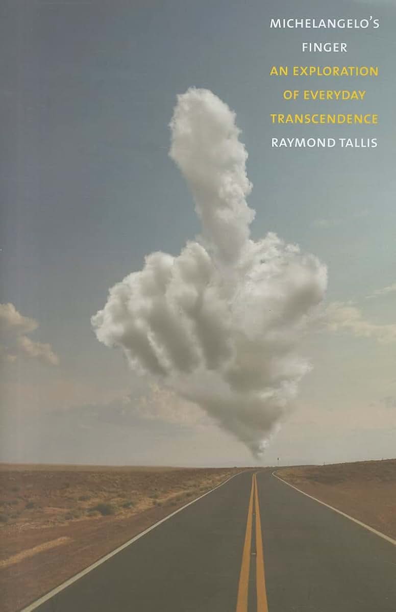 Michelangelo's Finger: An Exploration of Everyday Transcendence
