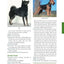 Original Dog Bible: The Definitive Source for All Things Dog (CompanionHouse Books) Your Dog, A to Z - Training, Behavior, and Grooming Tips, Breed Profiles, Health Remedies, Fun Activities, and More