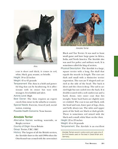 Original Dog Bible: The Definitive Source for All Things Dog (CompanionHouse Books) Your Dog, A to Z - Training, Behavior, and Grooming Tips, Breed Profiles, Health Remedies, Fun Activities, and More